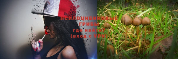 бошки Нея