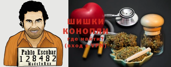 дживик Новозыбков