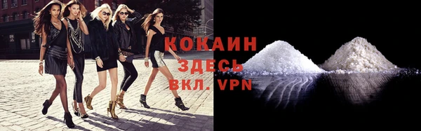 индика Нефтегорск