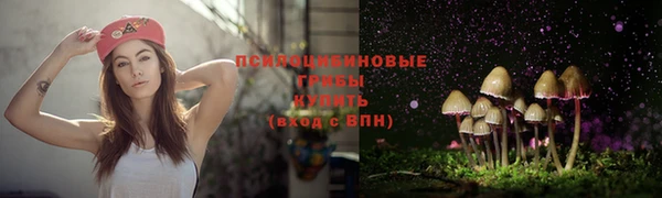 ешки Нефтекумск