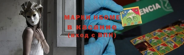 индика Нефтегорск