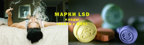 индика Нефтегорск