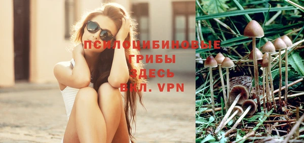 бутират Новодвинск